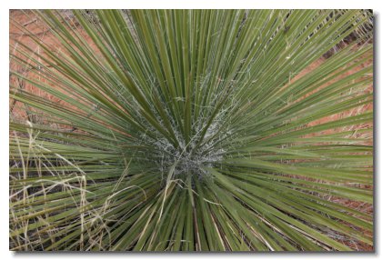 S (33)   Fay Canyon 7